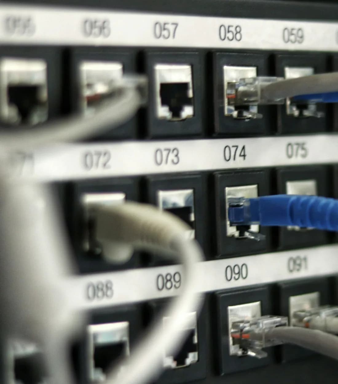 A blue network cable plugged into a patch panel